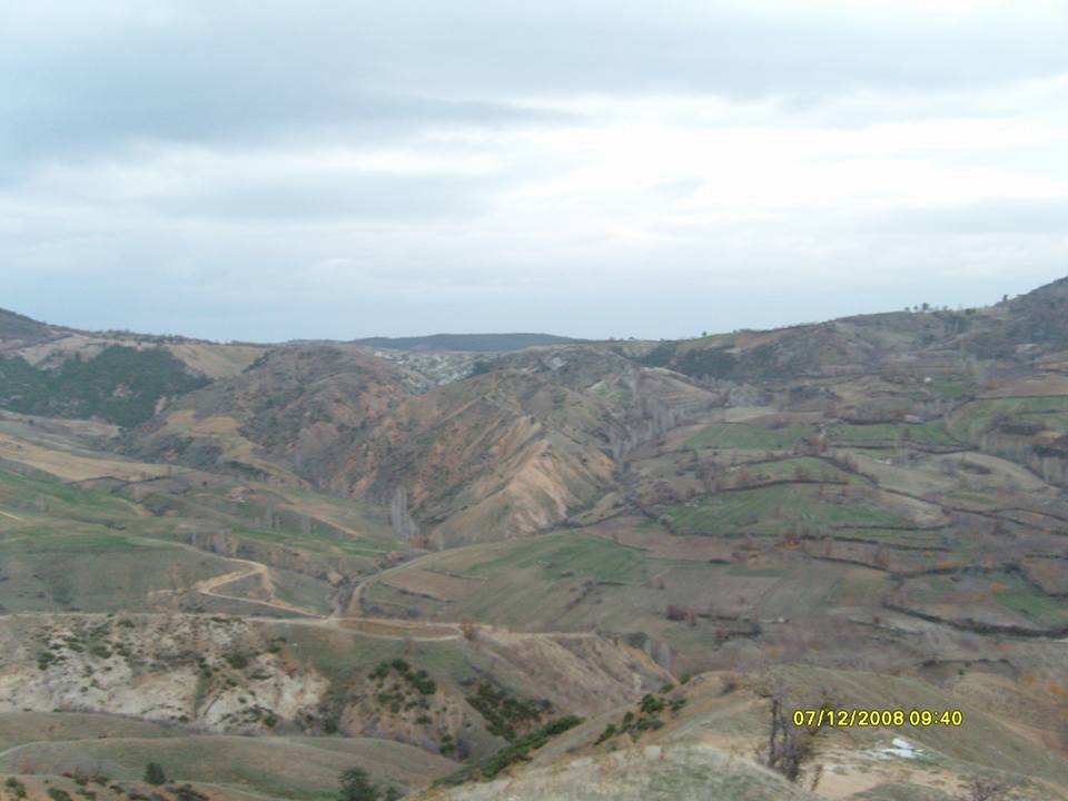 Turgay Asmalıkaya 07 Aralık 2008 2